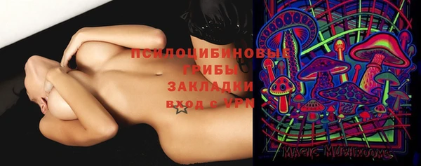 спиды Аркадак