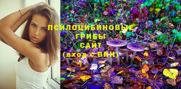 PSILOCYBIN Арсеньев
