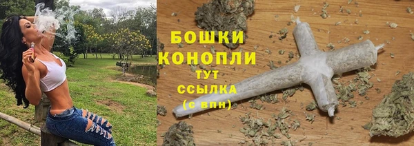 PSILOCYBIN Арсеньев