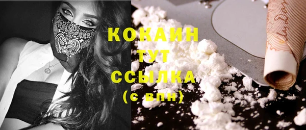 спиды Аркадак