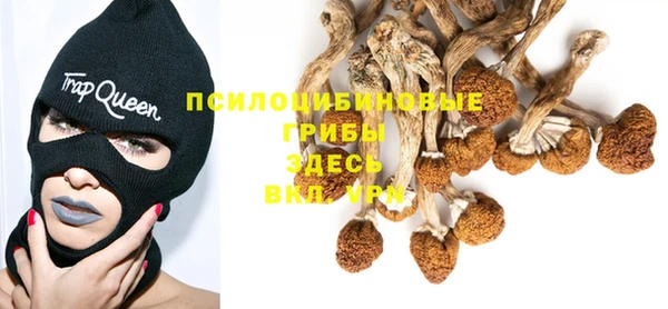 спиды Аркадак